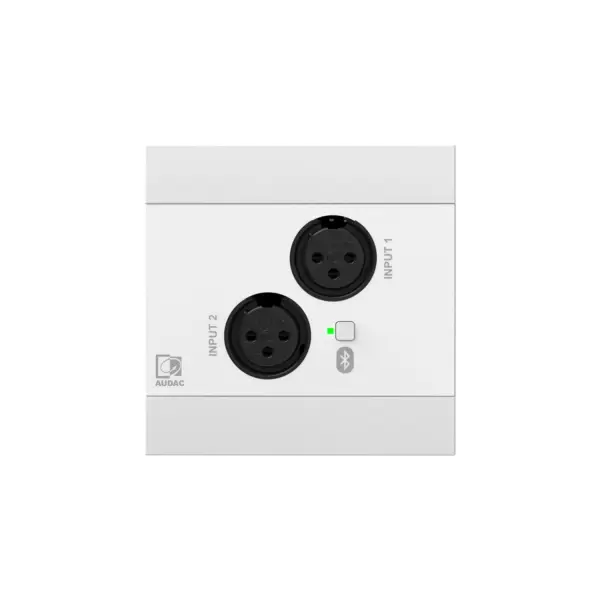 NWP220 Ağ Giriş Paneli 2x XLR + Bluetooth 4 Kanal