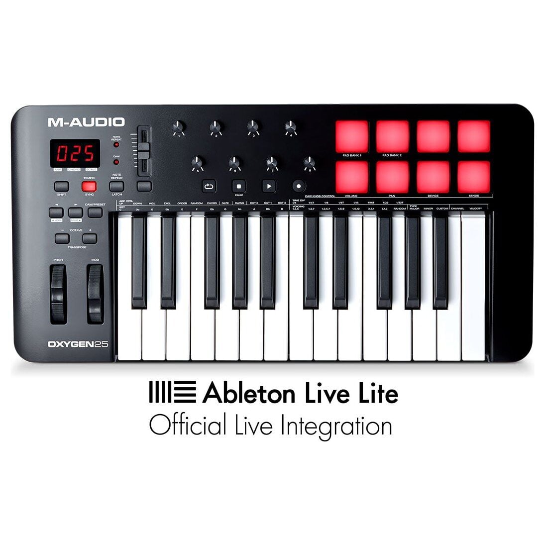 Oxygen 25 MKV 25 Tuş USB MIDI Klavye (Smart Controls, Auto-Mapping)