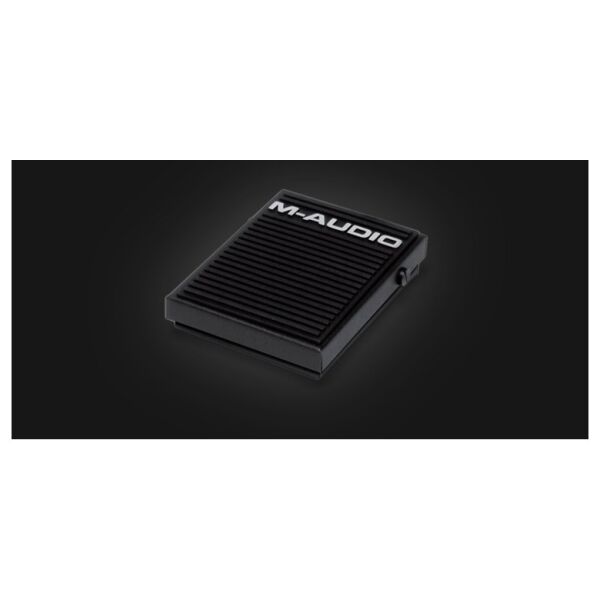 SP-1 Sustain Pedalı (Polarite Anahtarlı)