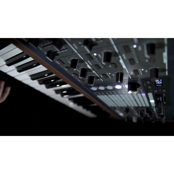 PolyBrute Analog Modular Synth