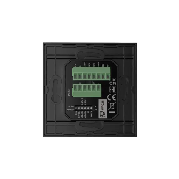 WP225 Mikrofon/Line/Bluetooth Duvar Paneli