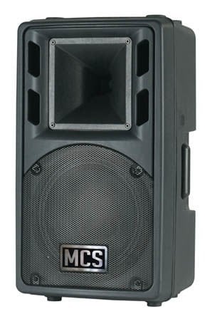25 1x10'' 500 Watt Pasif Hoparlör
