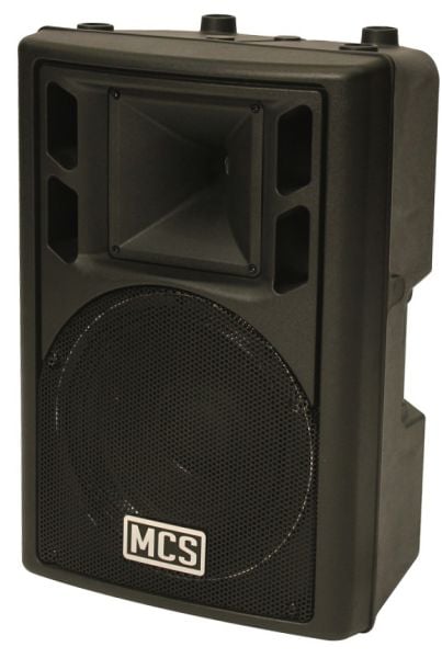 30 1x12'' 600 Watt Pasif Hoparlör