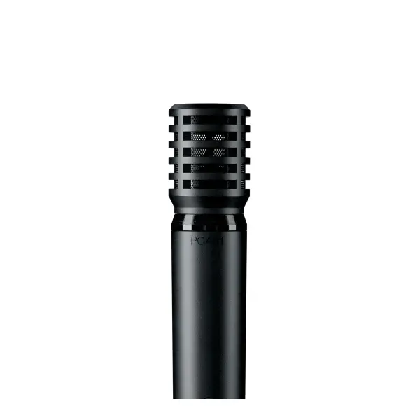 PGA81 Enstrüman Mikrofonu