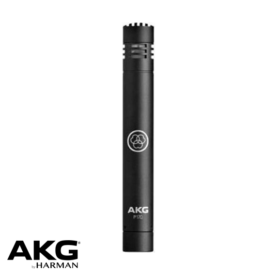 P170 Condanser Mikrofon