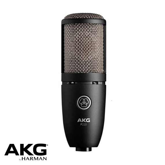 P220 Kondenser Mikrofon