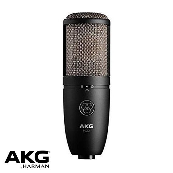 P420 Kondenser Mikrofon