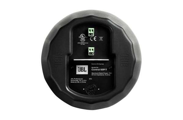 Control 65 P-T 5,25 inç İki Yollu Sarkıt Hoparlör