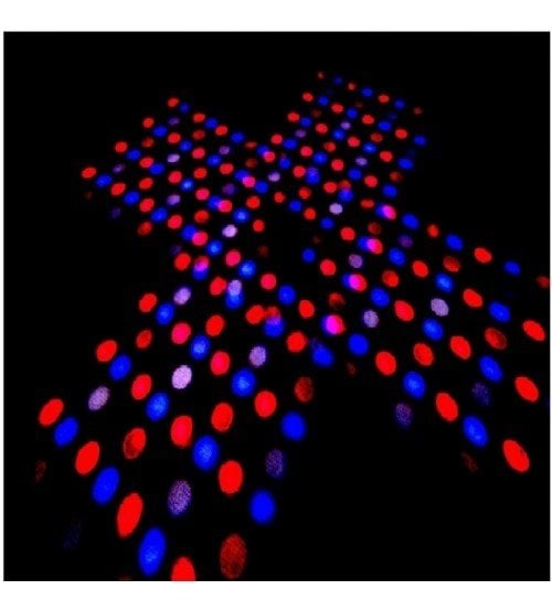 LED CİRCİUS