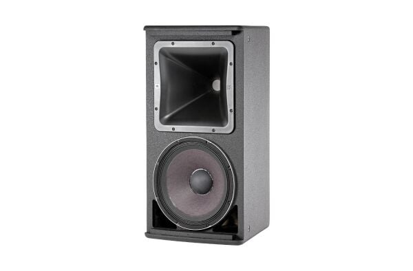 AM5212-00 12 inç İki Yollu Pasif Hoparlör