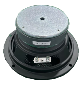 L06/8179 6'' 160 Watt Hoparlör Ünitesi