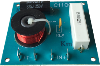 C1100 100W Tiz Koruma Crossover