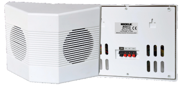 MS813 2x5'' 30 Watt 100V Duvar Tipi Hoparlör