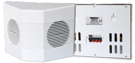 MS813 2x5'' 30 Watt 100V Duvar Tipi Hoparlör