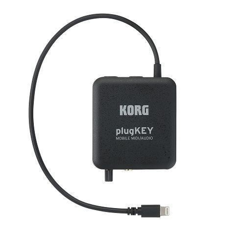 PLUGKEY-BK