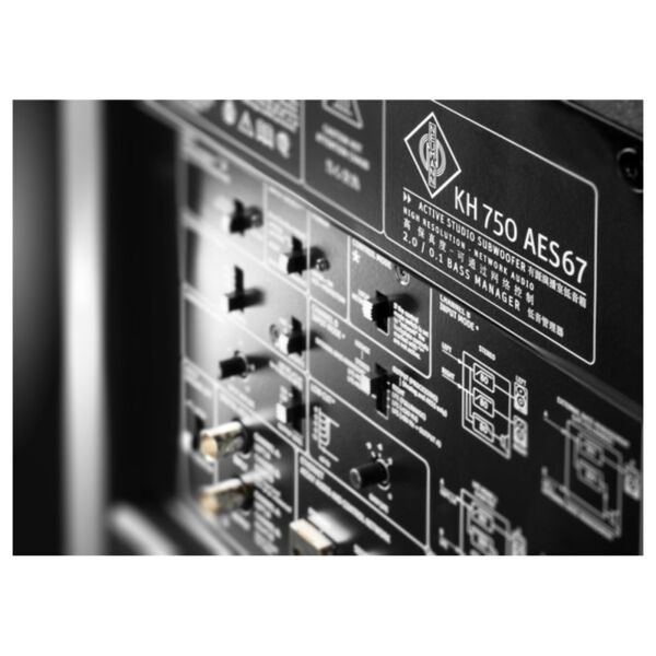 KH 750 AES67 Stüdyo Subwoofer