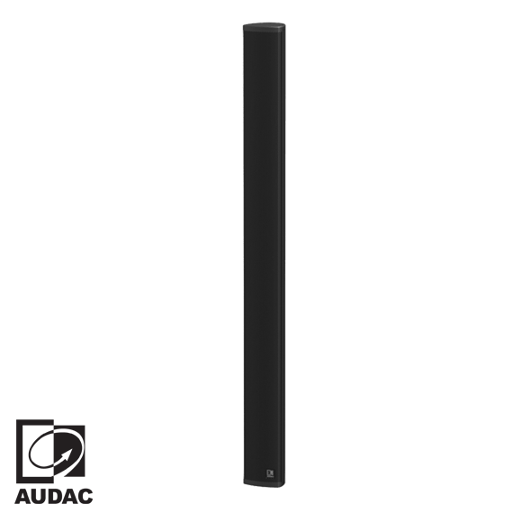 LINO10/B 10x2'' 80 Watt Column Array Hoparlör