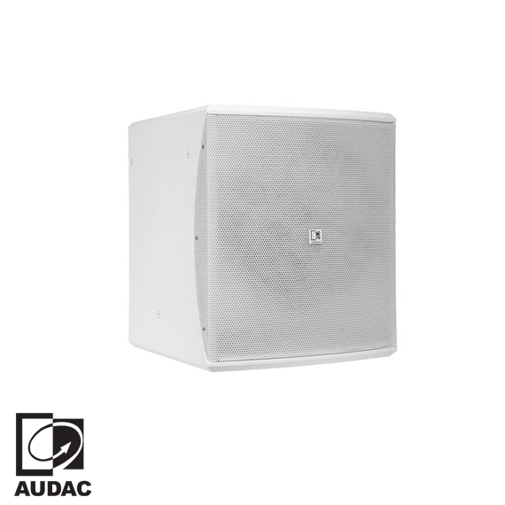 BASO10/W 1x10'' 450 Watt Pasif Subbass Hoparlör