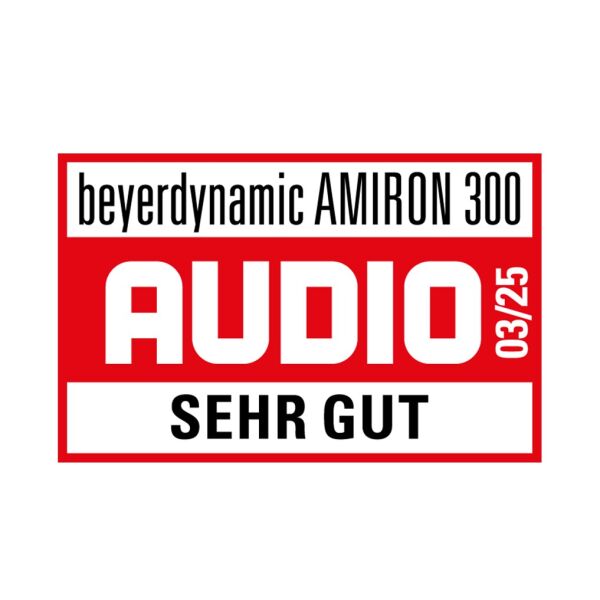 AMIRON 300 Black True Wireless ANC Kulak İçi Kulaklık