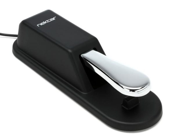 NP 2 Sustain Pedal