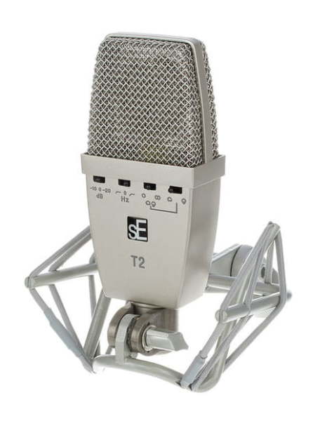 T2
