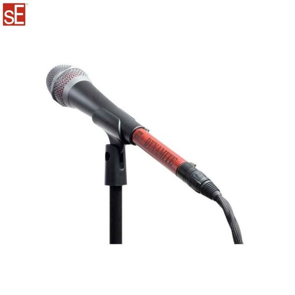 DM1