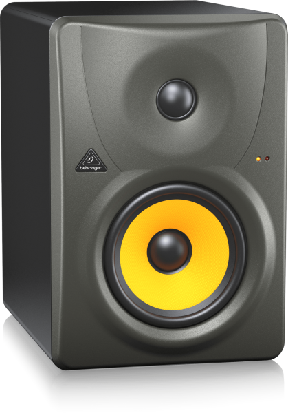 B1030A 5.25'' Aktif Referans Monitör (Tek)