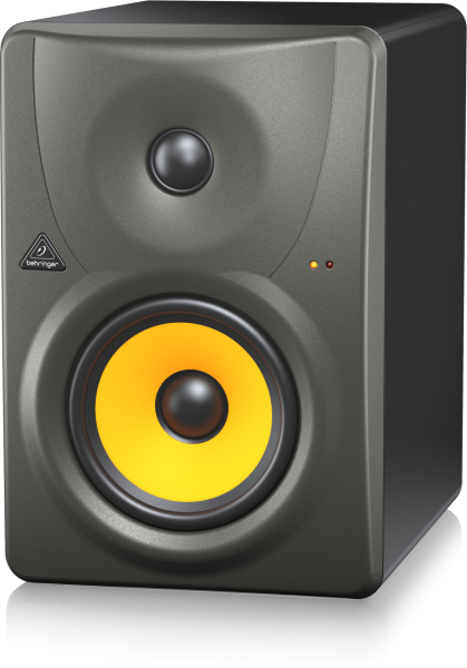 B1030A 5.25'' Aktif Referans Monitör (Tek)
