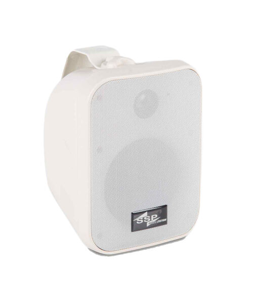 VENUE-5IP 5.25'' IP65 Dış Mekan Hoparlörü 100V/8 Ohm 50-100 Watt