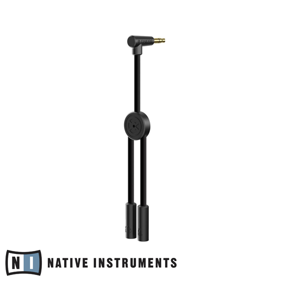 Traktor DJ Cable