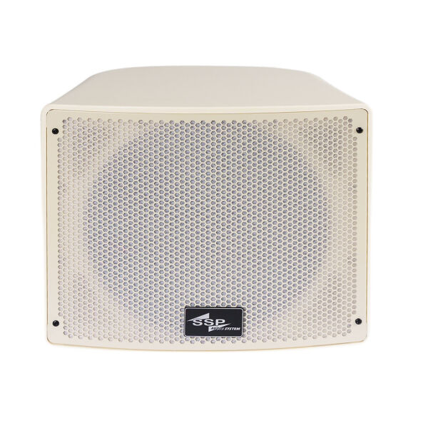 STD10FT 10'' IP65 Dış Mekan Hoparlörü 100V/8 Ohm 200-400 Watt