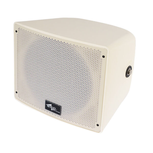 STD10FT 10'' IP65 Dış Mekan Hoparlörü 100V/8 Ohm 200-400 Watt