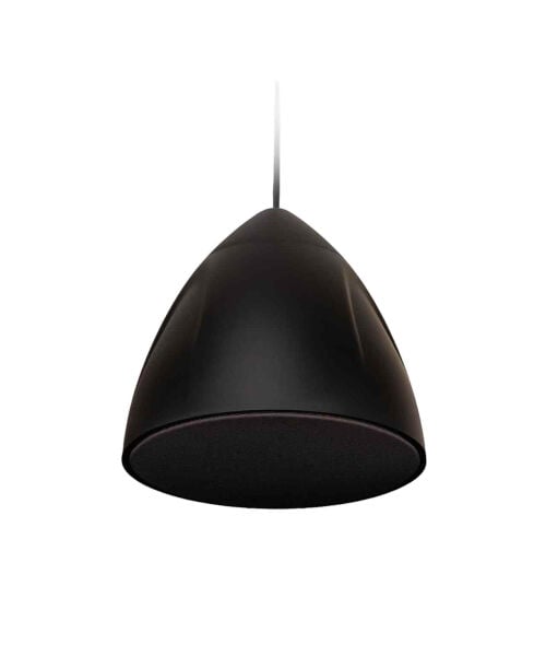 STAR 6B 6.5'' 100V Sarkıt Tip Hoparlör 40-80 Watt Siyah