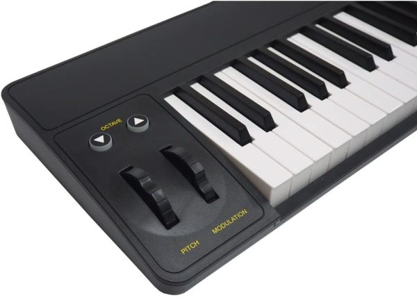 AK490+ (Black) Midi Klavye