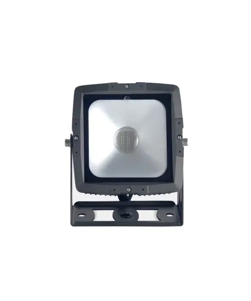 COB FLOOD 60 WP 60 Watt RGB COB IP65 LED Wash