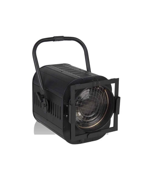 SL017F 1000 Watt Ampullü Fresnel Spot